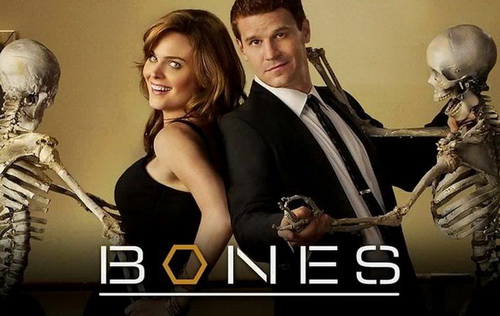 Bones - Die Knochenjägerin