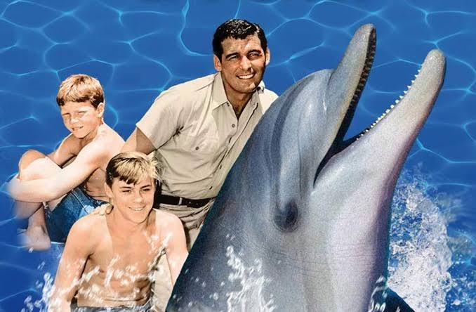 Flipper (1966-1969)